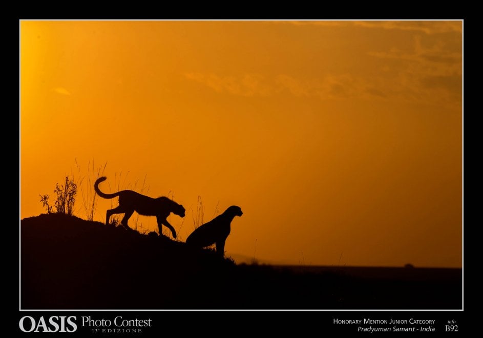 Oasis Photocontest, tutti i premiati della 13esima edizione