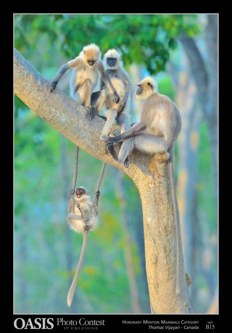 Oasis Photocontest, tutti i premiati della 13esima edizione