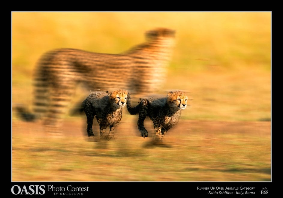 Oasis Photocontest, tutti i premiati della 13esima edizione