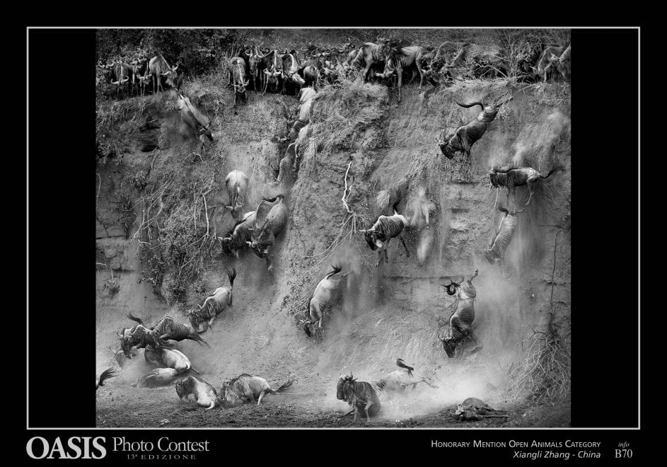Oasis Photocontest, tutti i premiati della 13esima edizione