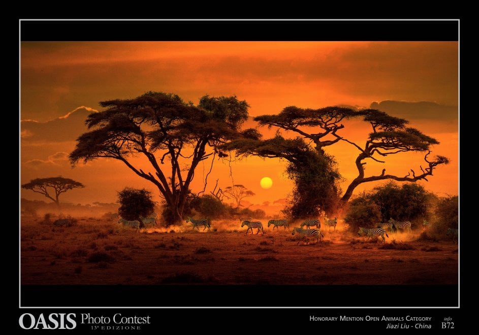 Oasis Photocontest, tutti i premiati della 13esima edizione