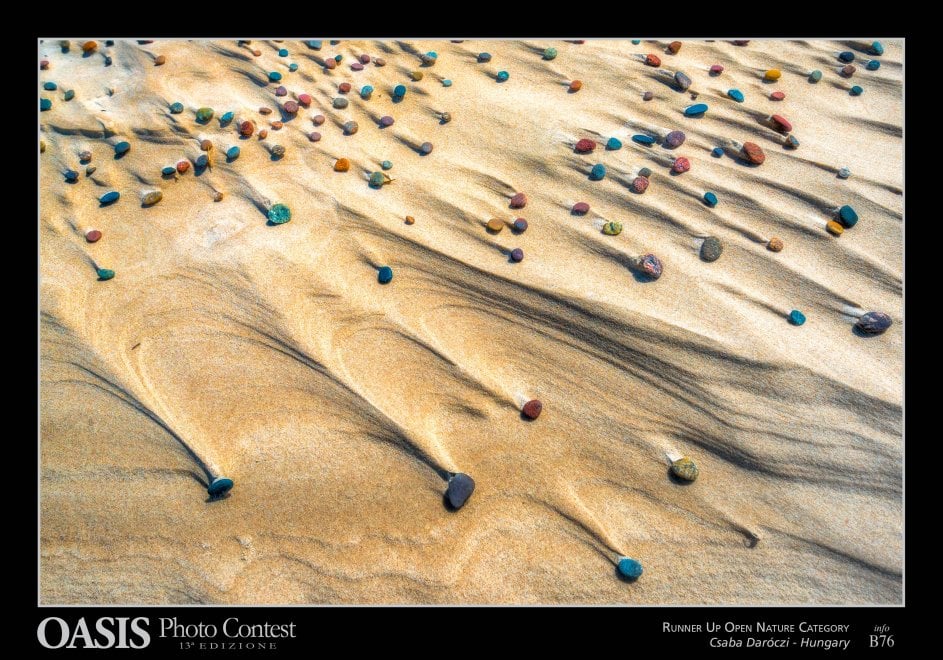 Oasis Photocontest, tutti i premiati della 13esima edizione