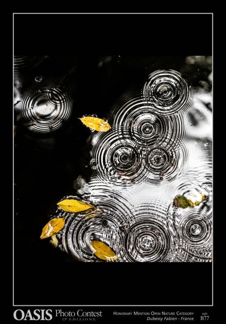 Oasis Photocontest, tutti i premiati della 13esima edizione