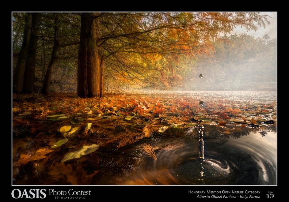 Oasis Photocontest, tutti i premiati della 13esima edizione