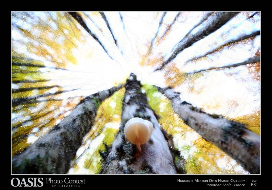 Oasis Photocontest, tutti i premiati della 13esima edizione