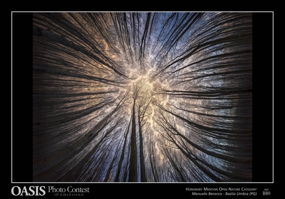 Oasis Photocontest, tutti i premiati della 13esima edizione
