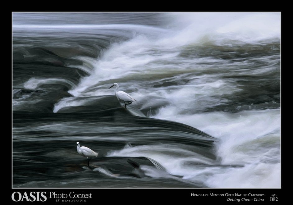 Oasis Photocontest, tutti i premiati della 13esima edizione
