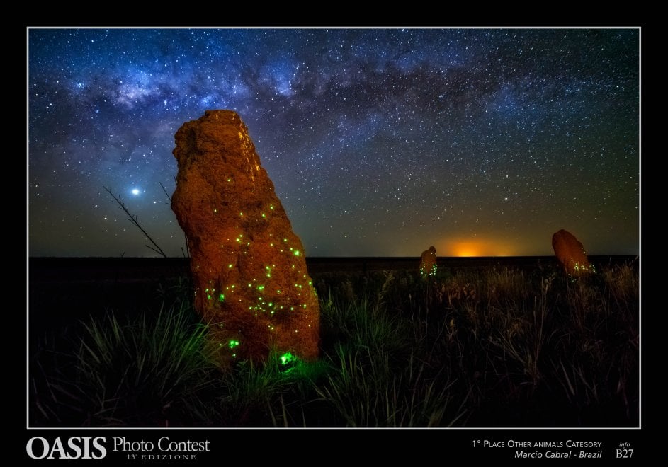 Oasis Photocontest, tutti i premiati della 13esima edizione