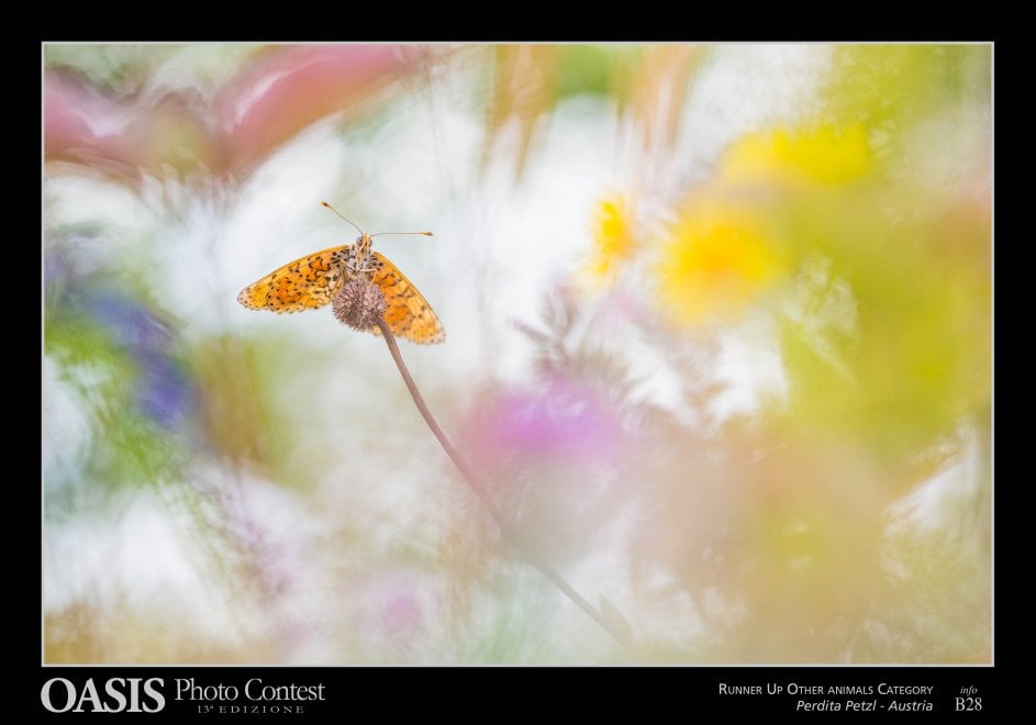 Oasis Photocontest, tutti i premiati della 13esima edizione