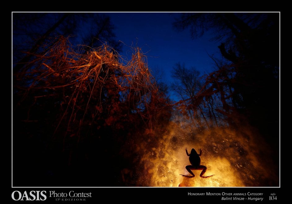 Oasis Photocontest, tutti i premiati della 13esima edizione