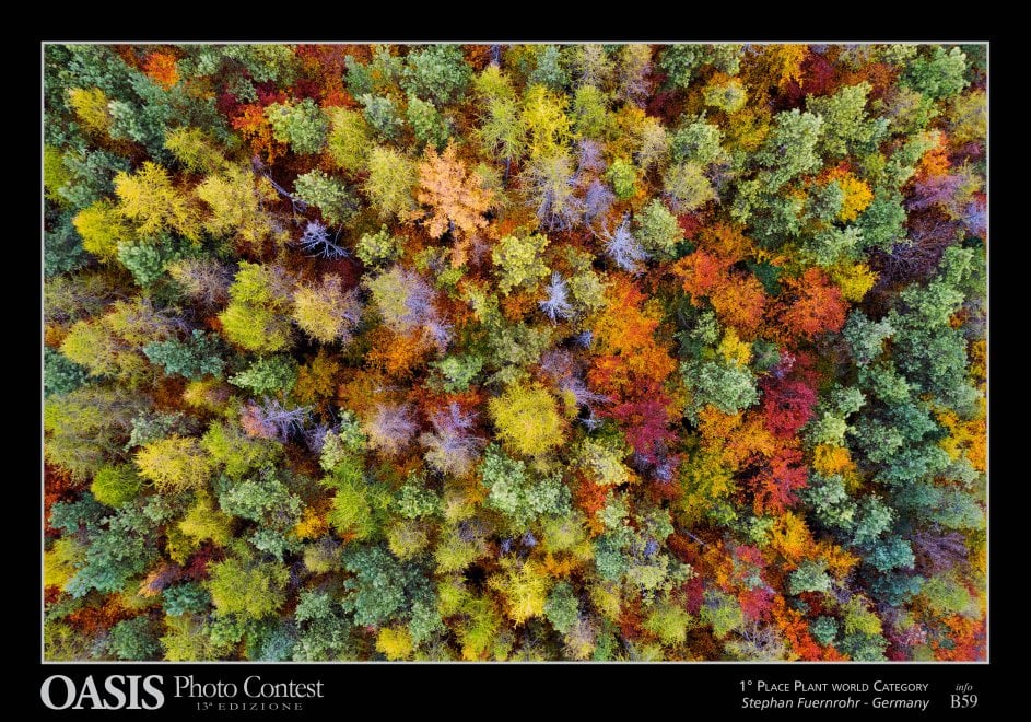 Oasis Photocontest, tutti i premiati della 13esima edizione