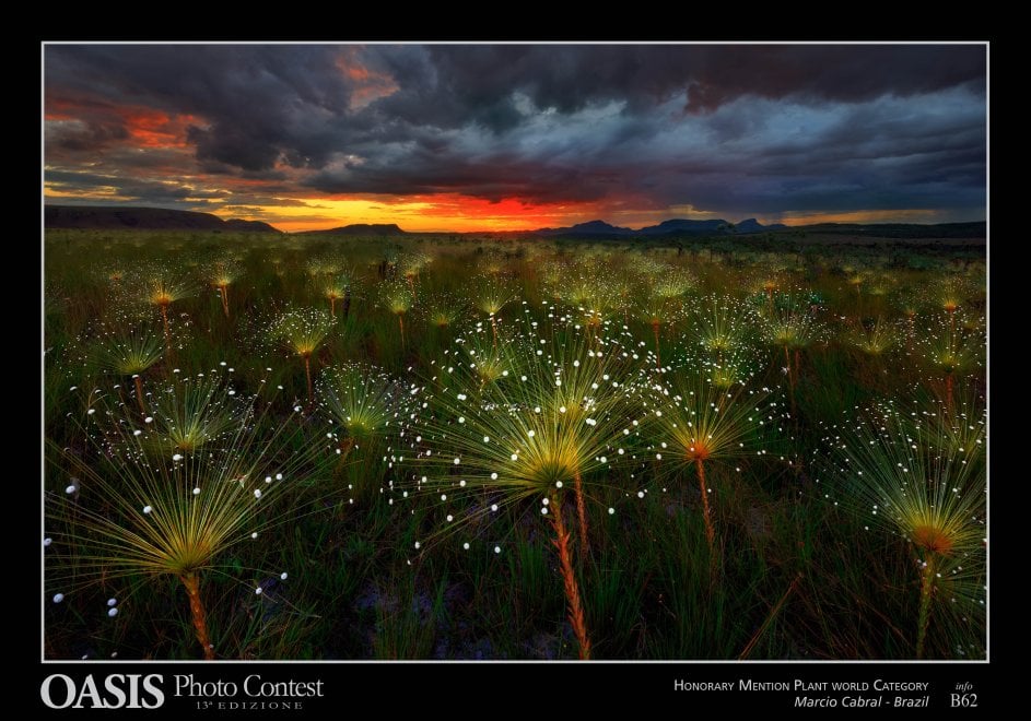 Oasis Photocontest, tutti i premiati della 13esima edizione