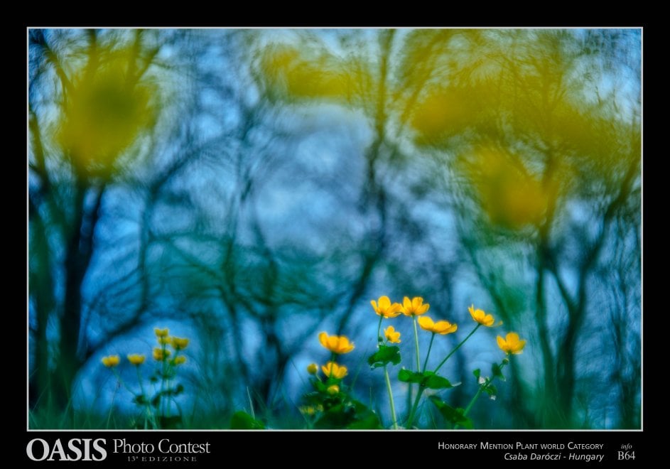 Oasis Photocontest, tutti i premiati della 13esima edizione