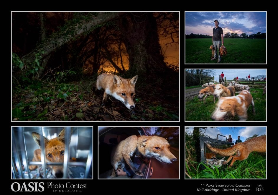 Oasis Photocontest, tutti i premiati della 13esima edizione