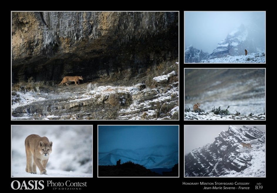 Oasis Photocontest, tutti i premiati della 13esima edizione