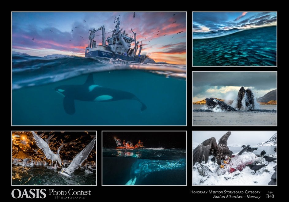 Oasis Photocontest, tutti i premiati della 13esima edizione