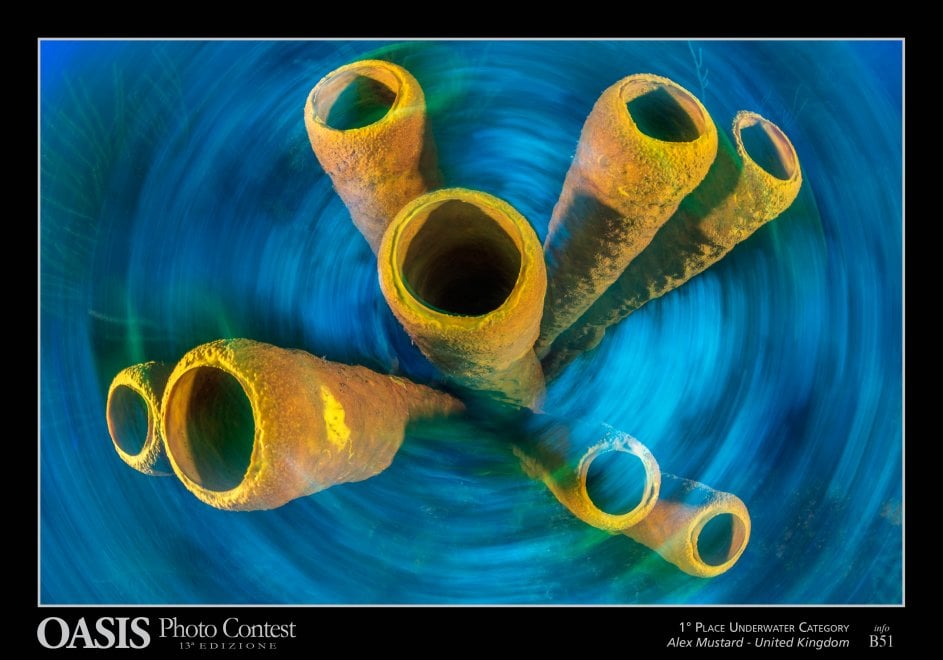Oasis Photocontest, tutti i premiati della 13esima edizione