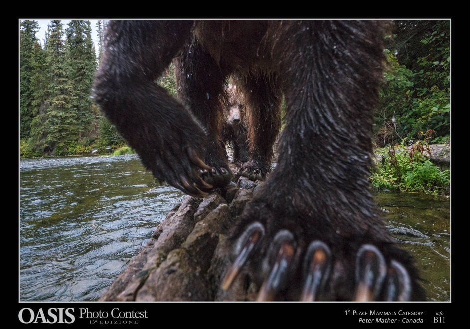 Oasis Photocontest, tutti i premiati della 13esima edizione