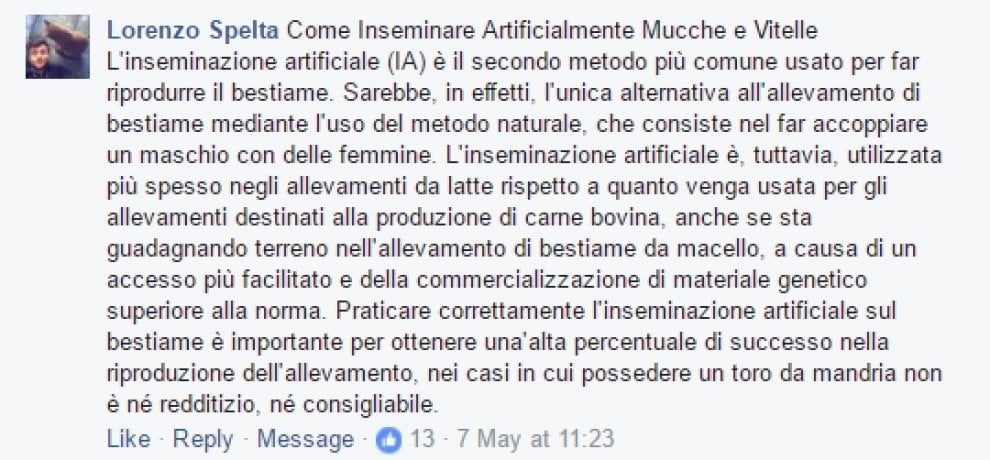 Vincisgradi, zappare, cacio e pepe: tutto quel che avreste voluto sapere, dove meno lo cercate