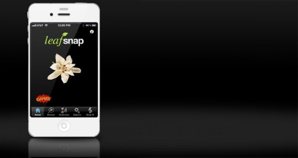 Sport e avventure outdoor: 8 app per appassionati