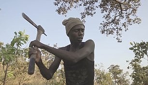 'Makala' premiato alla Semaine de la Critique