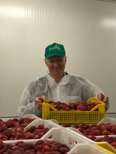 Dalla Bulgaria ad Asiago, il lungo viaggio delle fragole