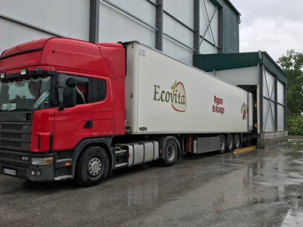 Dalla Bulgaria ad Asiago, il lungo viaggio delle fragole