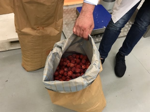 Dalla Bulgaria ad Asiago, il lungo viaggio delle fragole