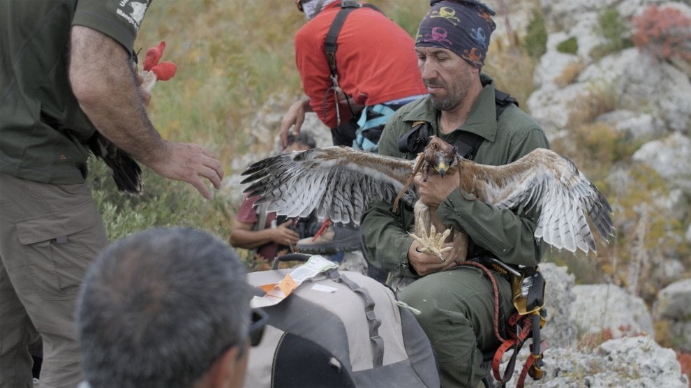 ''Chiamami aquila'', ma con il Gps