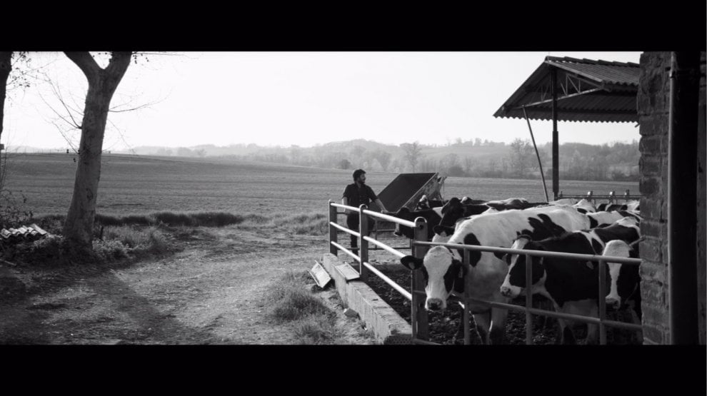 Ecosostenibilità, così i giovani cambiano gli antichi mestieri. Cinque storie di allevatori green
