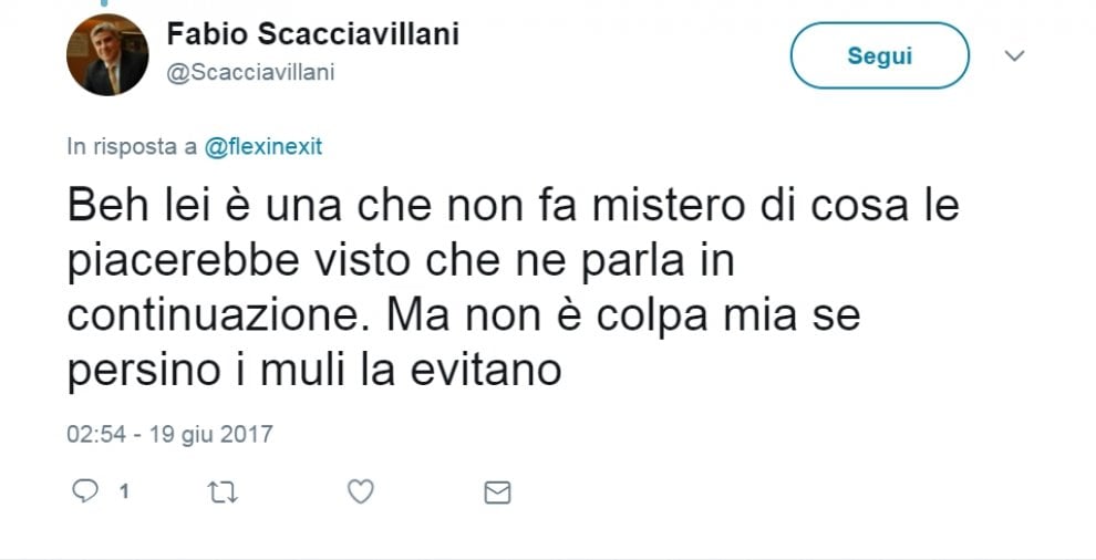 Scacciavillani, insulti e sessismo senza freni su Twitter