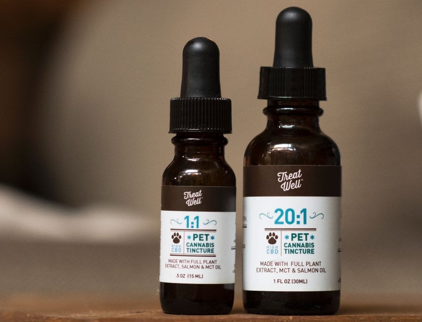 Cannabis terapeutica per gli animali: la nuova sfida del mercato Usa 
