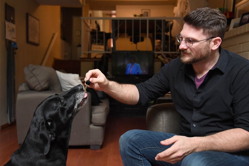 Cannabis terapeutica per gli animali: la nuova sfida del mercato Usa 