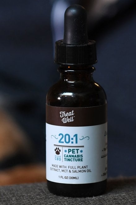 Cannabis terapeutica per gli animali: la nuova sfida del mercato Usa 