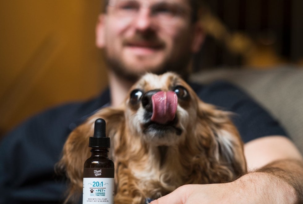 Cannabis terapeutica per gli animali: la nuova sfida del mercato Usa 