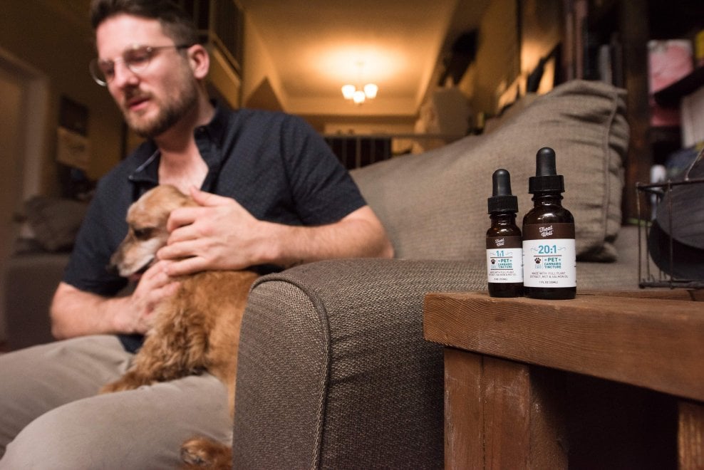 Cannabis terapeutica per gli animali: la nuova sfida del mercato Usa 
