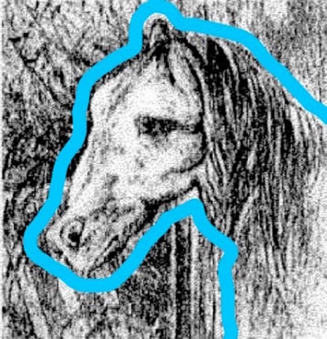 Illusione ottica: riuscite a vedere un cavallo in questa foto?