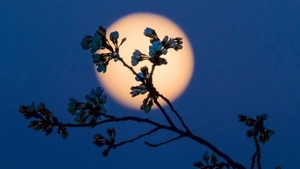 Le regole del buon sonno