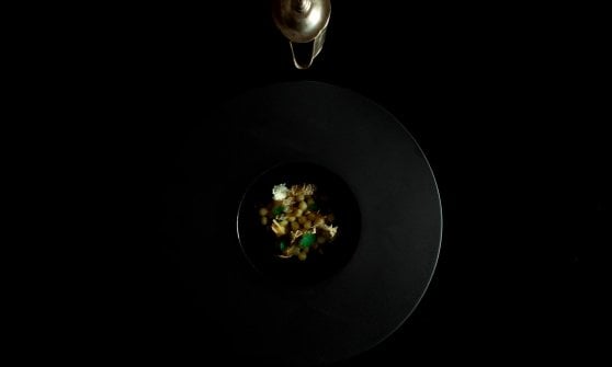 Stube Gourmet, "Perle di merluzzo immerse in un dashi con zenzero e coriandolo", Lido Vannucchi Ph.