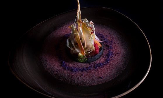 Stube Gourmet, "Giardino di verdure", Lido Vannucchi Ph.