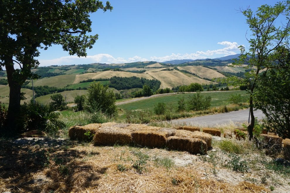 ''Benvenuti nella mia casa di paglia''