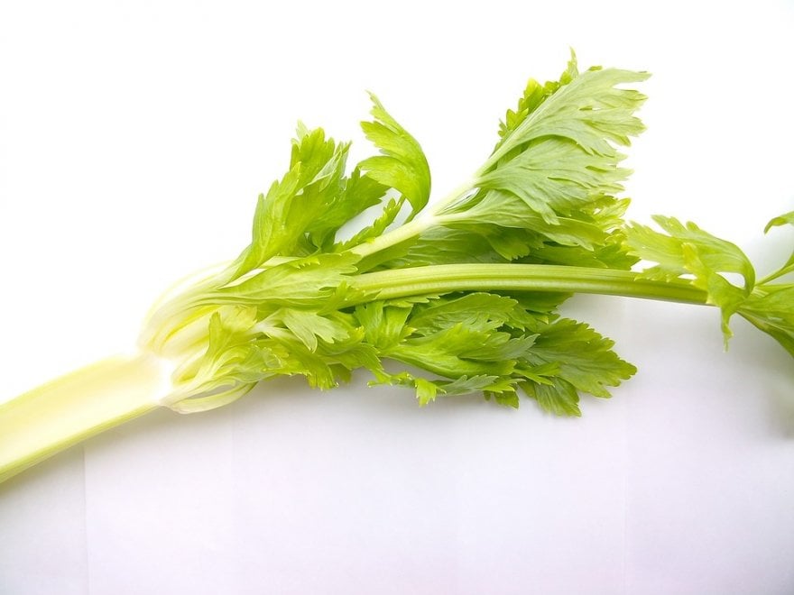 Le più comuni allergie alimentari