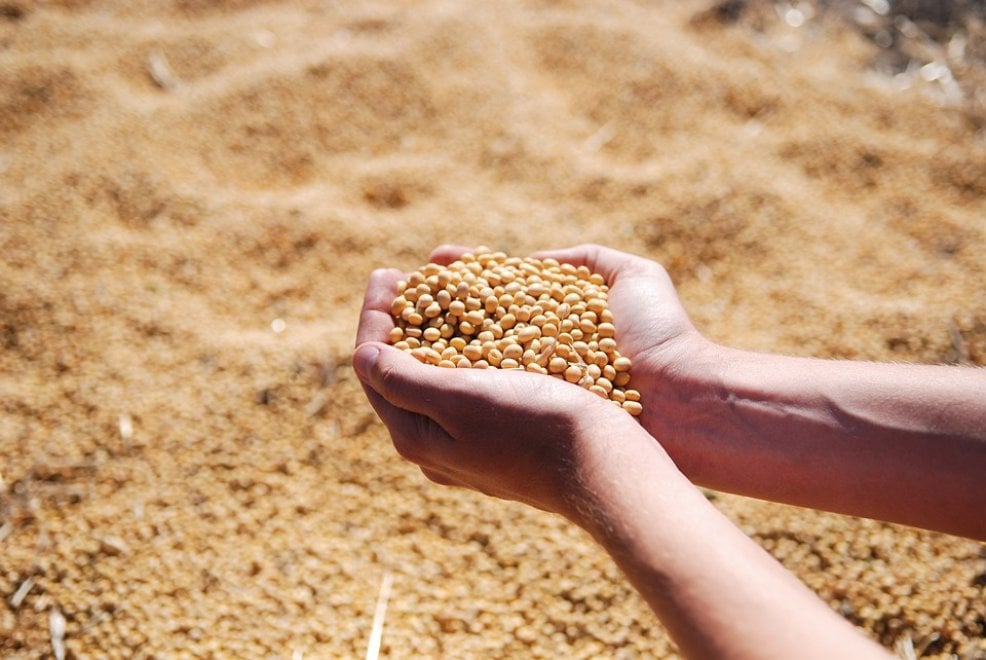 Le più comuni allergie alimentari
