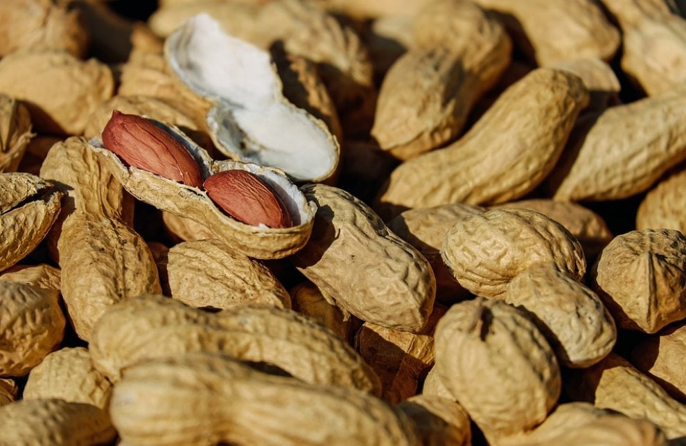 Le più comuni allergie alimentari