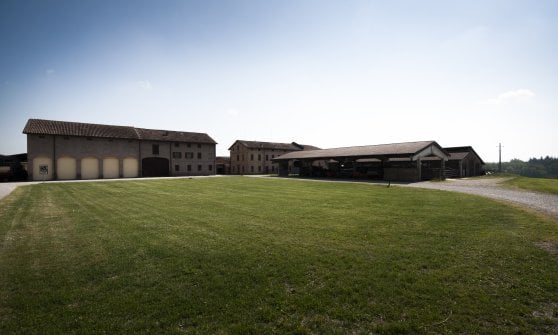 Cinquantasei caseifici aperti il 30 settembre e primo ottobre