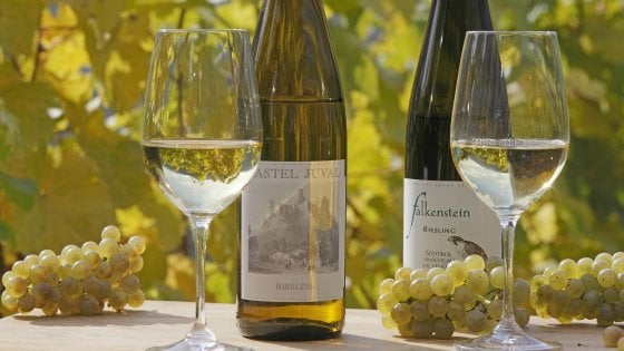 Naturno, tra degustazioni e cene tornano le Giornate del Riesling 