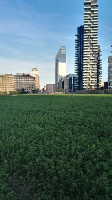 Urban Nature: alla scoperta della biodiversità nelle metropoli
