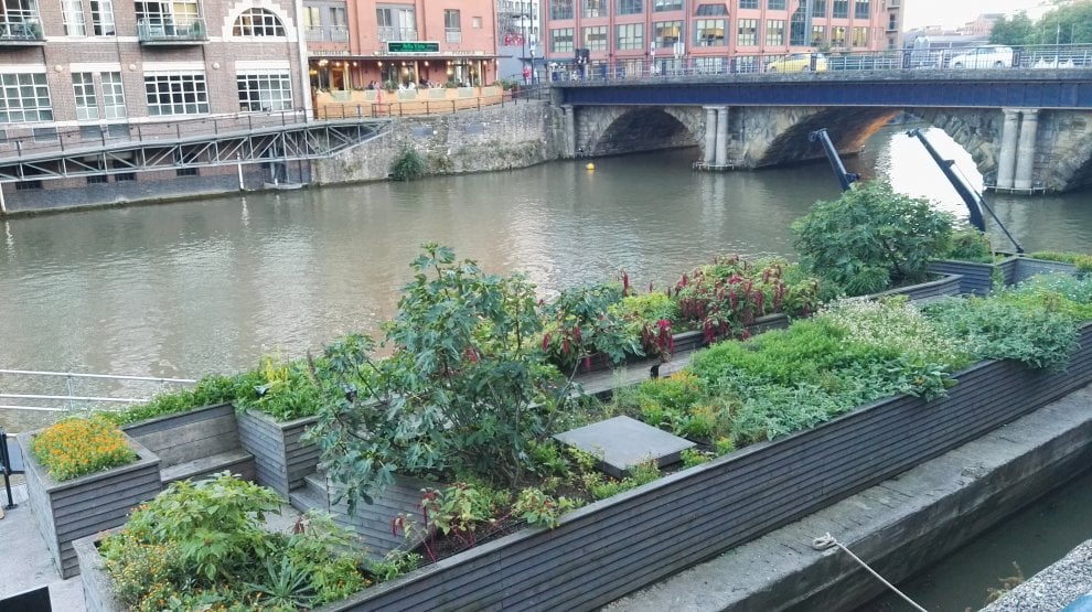 Urban Nature: alla scoperta della biodiversità nelle metropoli