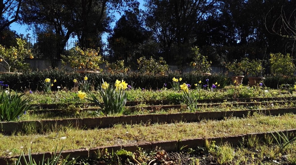 Urban Nature: alla scoperta della biodiversità nelle metropoli