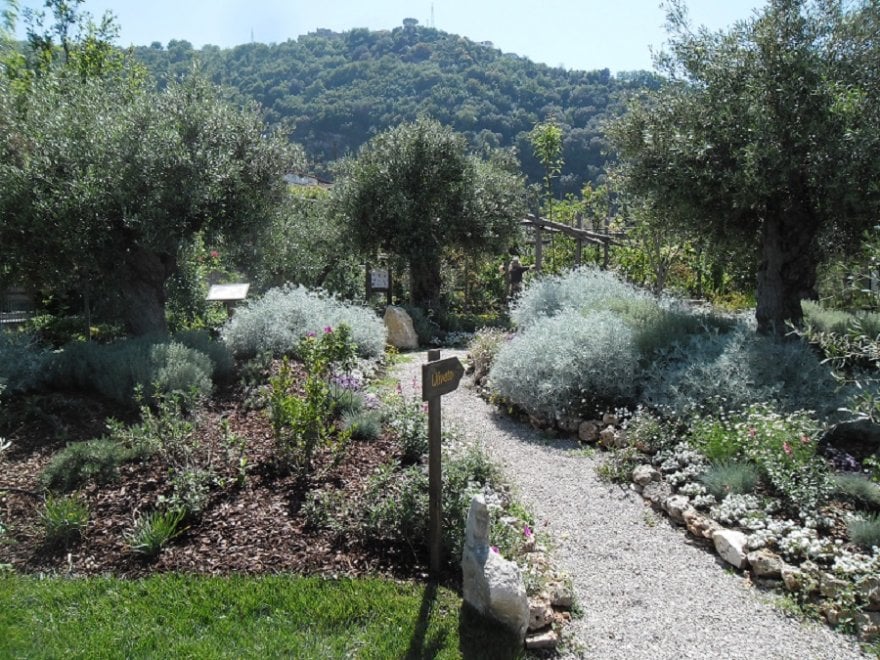 Urban Nature: alla scoperta della biodiversità nelle metropoli